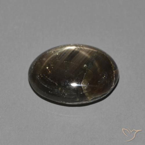 Saphir étoilé Noire naturelle ovale, 3.05 ct, Opaque