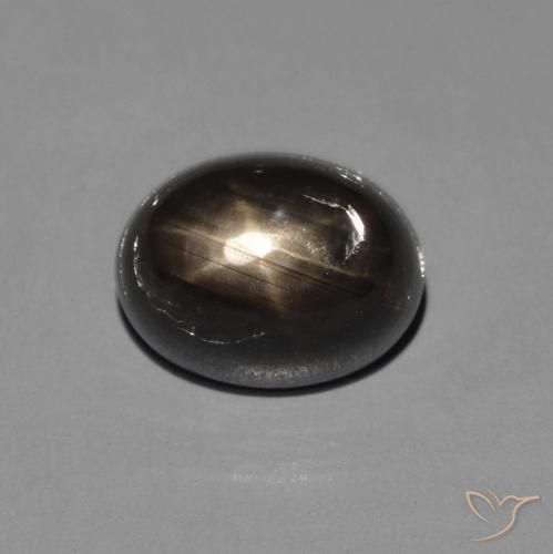 2.72ct Naturel Noire Saphir étoilé, ovale, Opaque
