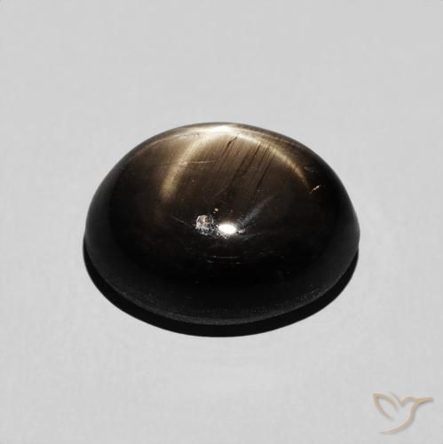 Saphir étoilé Noire naturelle ovale, 6.43 ct, Opaque