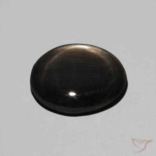 Saphir étoilé Noire naturelle ovale, 4.89 ct, Opaque