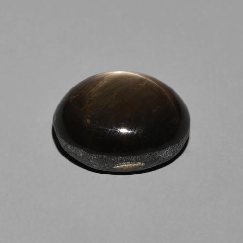 Saphir étoilé Noire naturelle ovale, 7.81 ct, Opaque