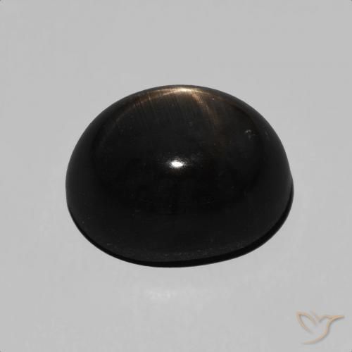Saphir étoilé Noire naturelle ovale, 7.84 ct, Opaque