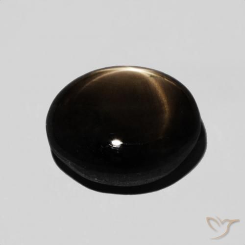 Saphir étoilé Noire naturelle ovale, 7.12 ct, Opaque