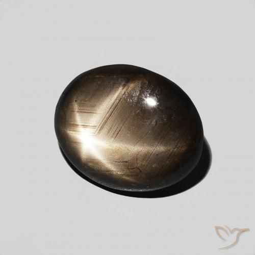 Saphir étoilé Noire naturelle ovale, 3.89 ct, Opaque