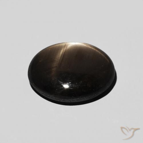 Saphir étoilé Noire naturelle ovale, 3.89 ct, Opaque
