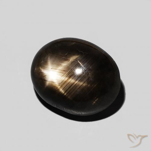Saphir étoilé Noire naturelle ovale, 6.67 ct, Opaque