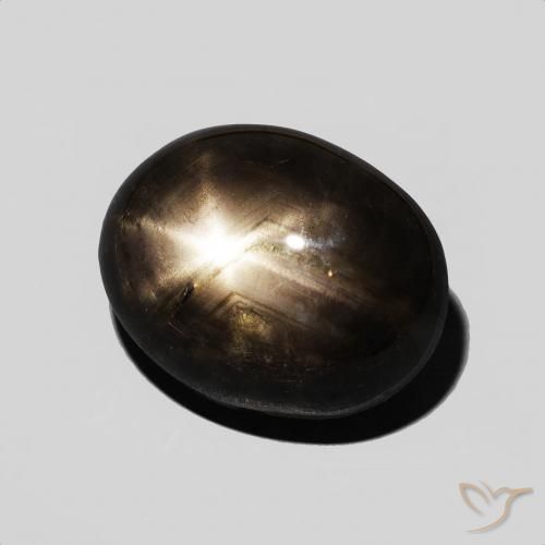 Saphir étoilé Noire naturelle ovale, 7.59 ct, Opaque
