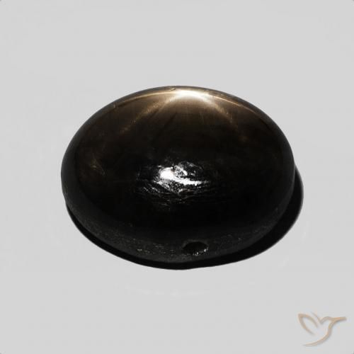 Saphir étoilé Noire naturelle ovale, 7.59 ct, Opaque