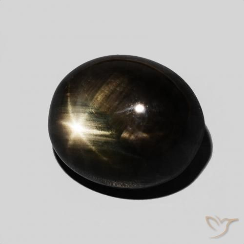 Saphir étoilé Noire naturelle ovale, 8.75 ct, Opaque