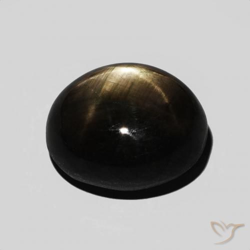 Saphir étoilé Noire naturelle ovale, 8.75 ct, Opaque