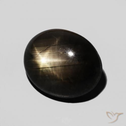 Saphir étoilé Noire naturelle ovale, 6.83 ct, Opaque