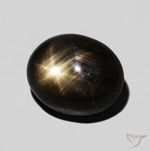 Saphir étoilé Noire naturelle ovale, 9.54 ct, Opaque
