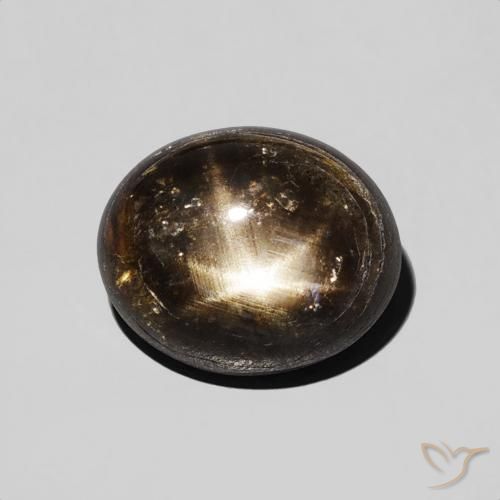 2.74ct Naturel Noire Saphir étoilé, ovale, Opaque