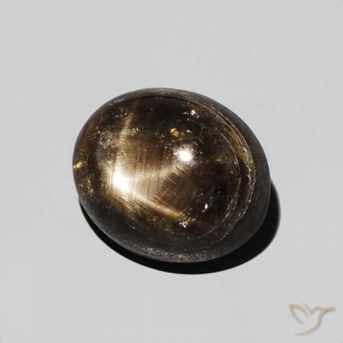 Saphir étoilé Noire naturelle ovale, 2.74 ct, Opaque