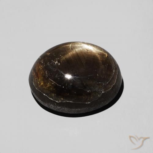Saphir étoilé Noire naturelle ovale, 2.74 ct, Opaque
