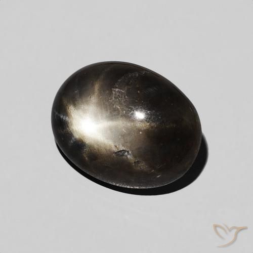 Saphir étoilé Noire naturelle ovale, 2.26 ct, Opaque