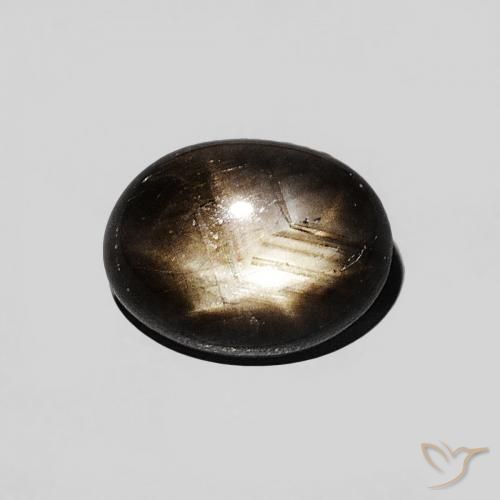 1.29ct Naturel Noire Saphir étoilé, ovale, Opaque