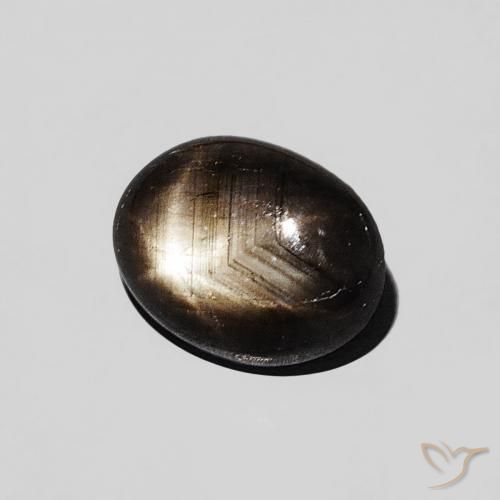 Saphir étoilé Noire naturelle ovale, 1.29 ct, Opaque