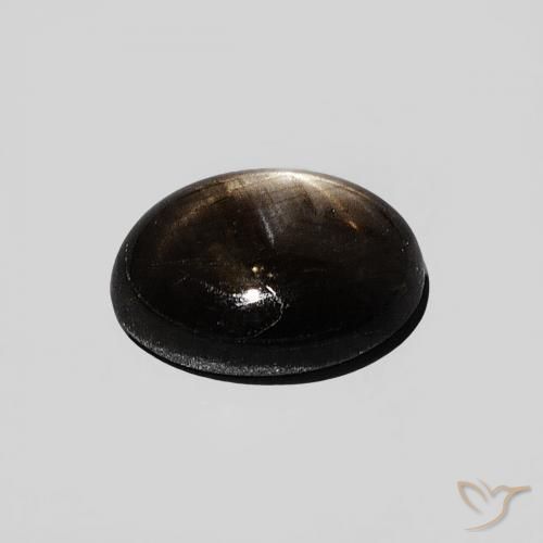 Saphir étoilé Noire naturelle ovale, 1.29 ct, Opaque