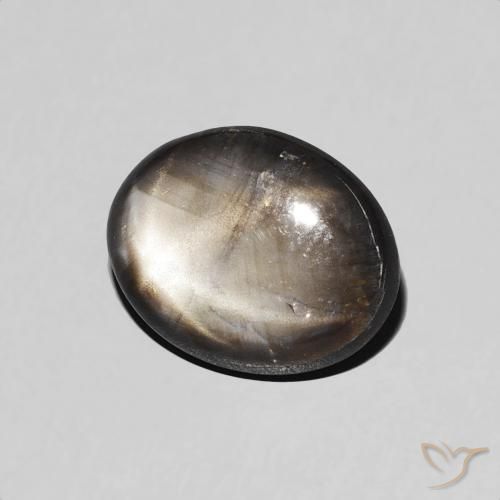 Saphir étoilé Noire naturelle ovale, 1.98 ct, Opaque