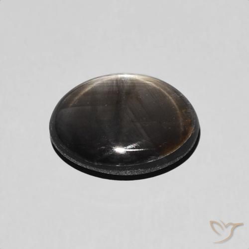 Saphir étoilé Noire naturelle ovale, 1.98 ct, Opaque