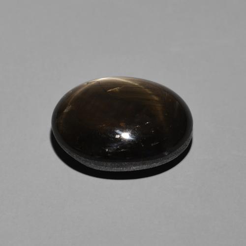 Saphir étoilé Noire naturelle ovale, 7.64 ct, Opaque