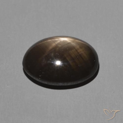 Saphir étoilé Noire naturelle ovale, 2.34 ct, Opaque