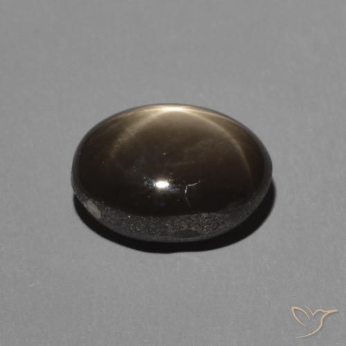 Saphir étoilé Noire naturelle ovale, 2.45 ct, Opaque