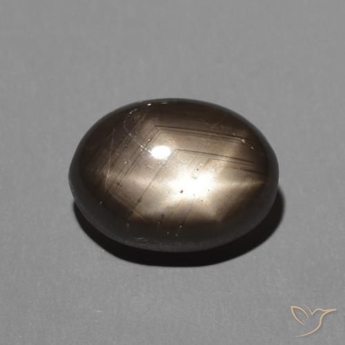 2.88ct Naturel Noire Saphir étoilé, ovale, Opaque