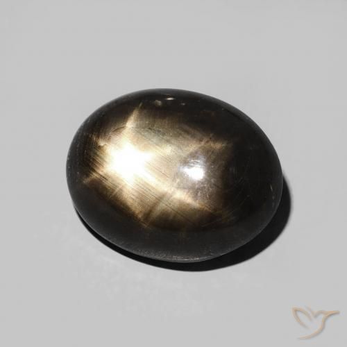 Saphir étoilé Noire naturelle ovale, 5.70 ct, Opaque