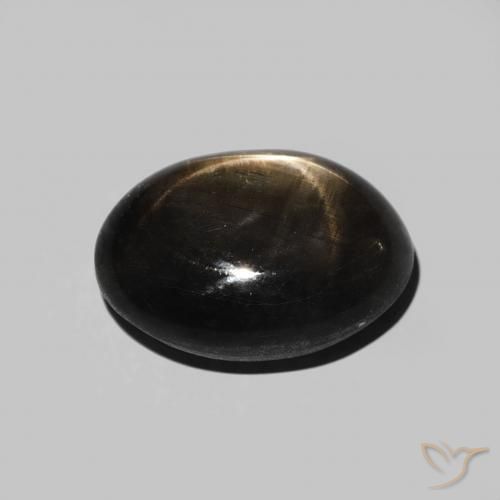 Saphir étoilé Noire naturelle ovale, 5.70 ct, Opaque