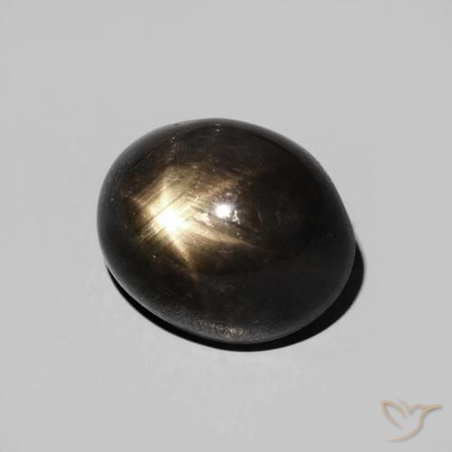 Saphir étoilé Noire naturelle ovale, 6.28 ct, Opaque