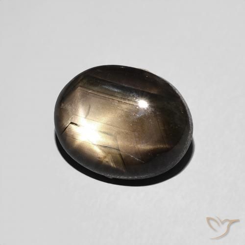 Saphir étoilé Noire naturelle ovale, 3.97 ct, Opaque