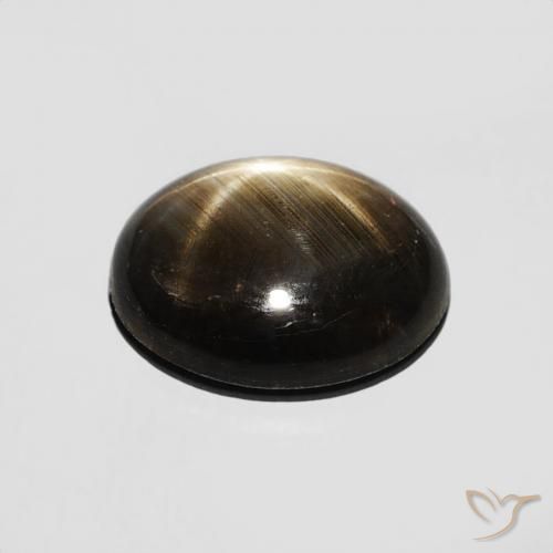Saphir étoilé Noire naturelle ovale, 2.36 ct, Opaque