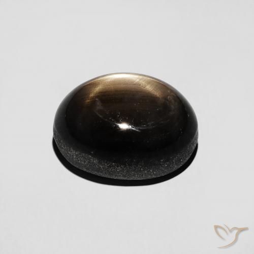 Saphir étoilé Noire naturelle ovale, 4.91 ct, Opaque