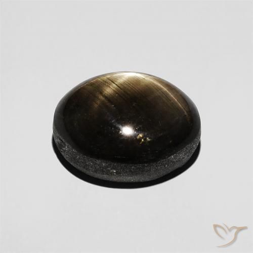 Saphir étoilé Noire naturelle ovale, 5.20 ct, Opaque