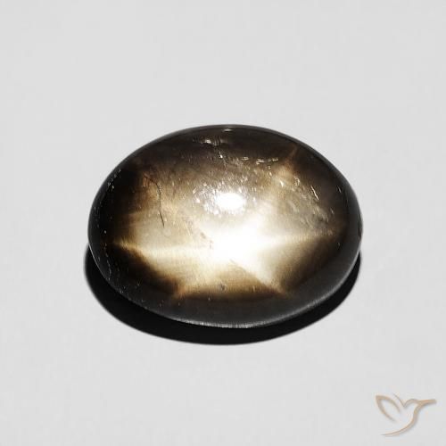4.49ct Naturel Noire Saphir étoilé, ovale, Opaque