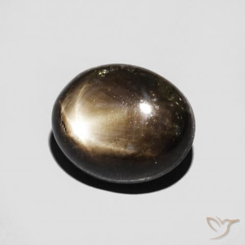Saphir étoilé Noire naturelle ovale, 5.09 ct, Opaque