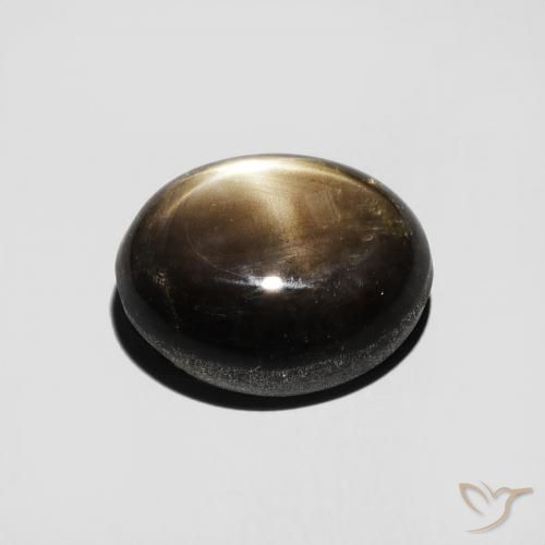 Saphir étoilé Noire naturelle ovale, 5.09 ct, Opaque