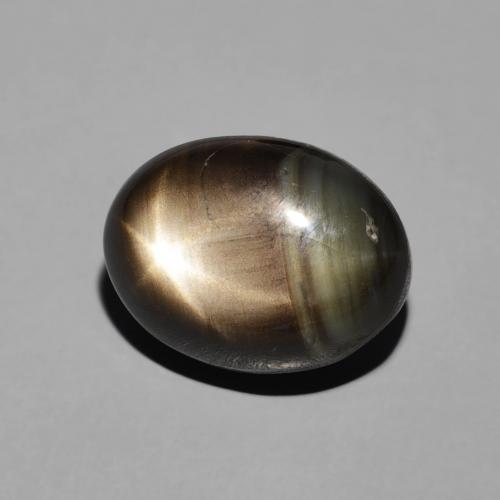 Saphir étoilé Noire naturelle ovale, 5.17 ct, Opaque