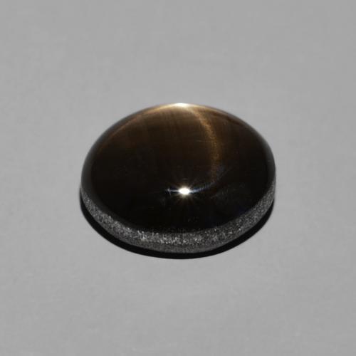Saphir étoilé Noire naturelle ovale, 2.74 ct, Opaque