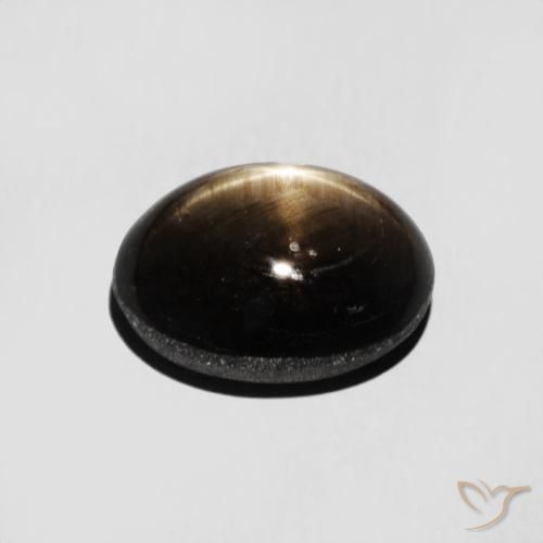Saphir étoilé Noire naturelle ovale, 3.16 ct, Opaque