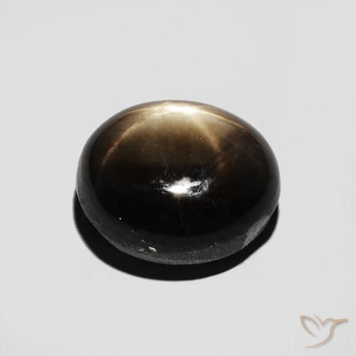 Saphir étoilé Noire naturelle ovale, 4.70 ct, Opaque