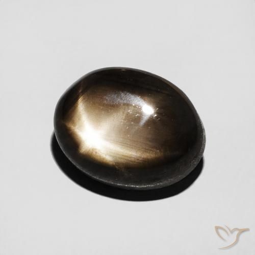 Saphir étoilé Noire naturelle ovale, 3.50 ct, Opaque