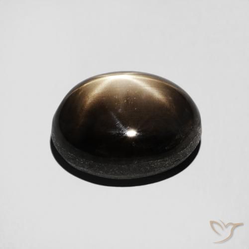 Saphir étoilé Noire naturelle ovale, 3.50 ct, Opaque