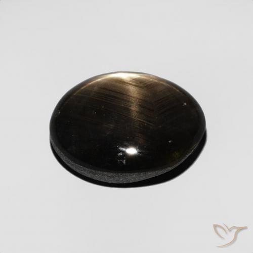 Saphir étoilé Noire naturelle ovale, 4.35 ct, Opaque