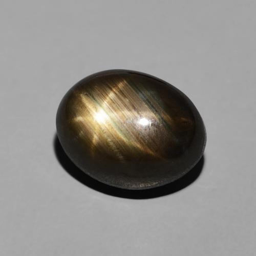 Saphir étoilé Noire naturelle ovale, 4.06 ct, Opaque