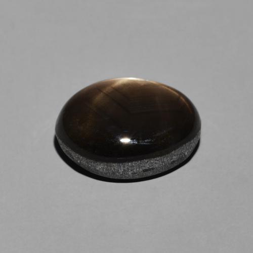 Saphir étoilé Noire naturelle ovale, 3.88 ct, Opaque