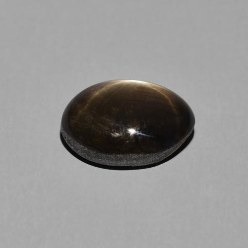 Saphir étoilé Noire naturelle ovale, 3.34 ct, Opaque