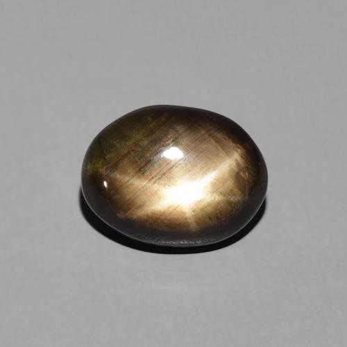 Saphir étoilé Noire naturelle ovale, 3.19 ct, Opaque